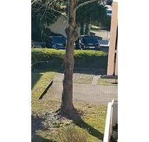 Parkplatz zu vermieten - 50,00&nbsp;EUR Miete, in Heilbronn (PLZ: 74080) Böckingen