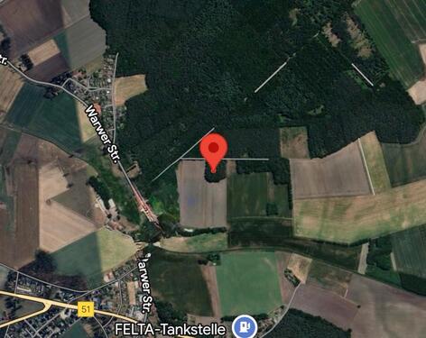 Foto - Freistehendes WaldgrundstückWaldstück