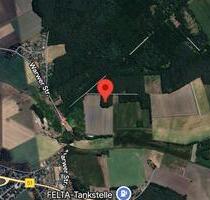 Freistehendes WaldgrundstückWaldstück - Stuhr
