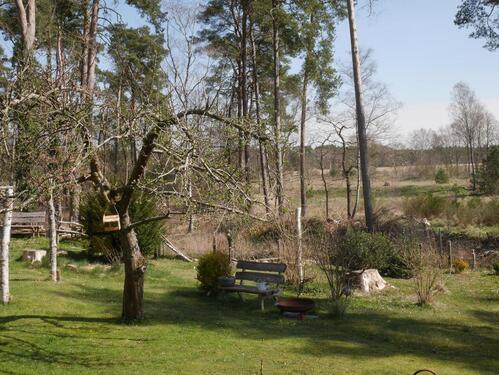 Foto - Einfamilienhaus in Egestorf zum Kaufen