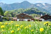 Foto - ️ALPEN BUCHEN ⛰️ Ferienwohnung in den Bergen, Hunde, Schliersee