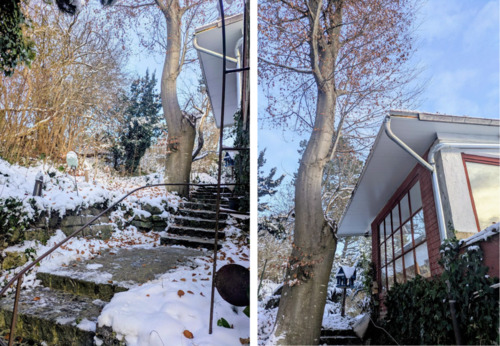 Foto - 4-Personen-Apartment-im-Alpenvorland