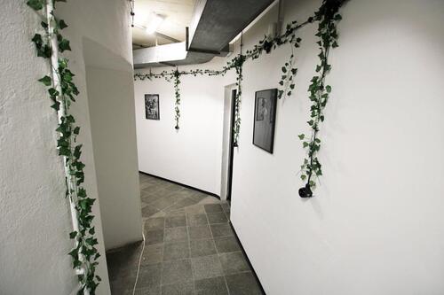 Foto - andere in Ludwigshafen am Rhein