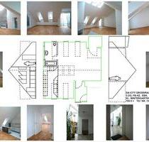 DA-CITY GROSSRAUM-STUDIO-WHG mit LOFTCHARAKTER + KL. WINTERGARTEN - Darmstadt