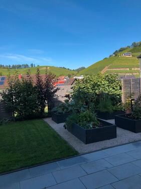 Foto - Einliegerwohnung in Durbach zu mieten