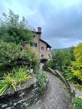 Foto - andere in Köln zur Miete