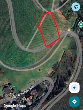 Foto - Reben zur Pacht Bühl-Altschweier