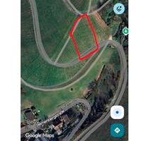 Reben zur Pacht Bühl-Altschweier - Kehl