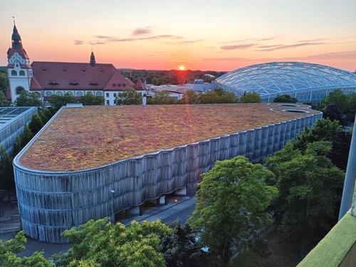 Foto - Sofort einziehen! 2 Zimmer, möbliert, Nähe HBF