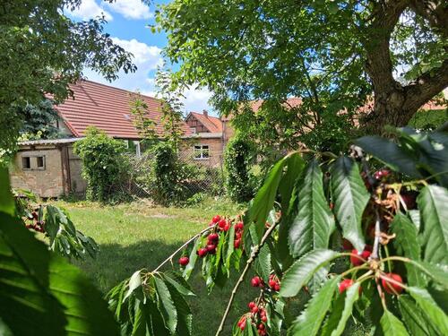 Foto - Einfamilienhaus in Osterburg (Altmark) zum Kaufen