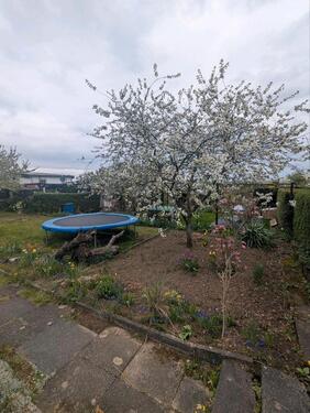 Foto - Grundst&uuml;ck in Erfurt zur Miete