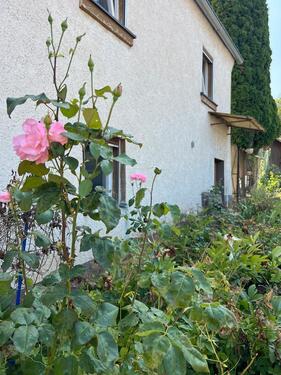 Foto - Einfamilienhaus zum Kaufen in Erlabrunn