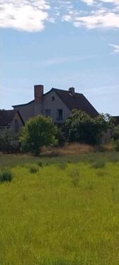 Foto - 6 Zimmer Einfamilienhaus zum Kaufen in Allstedt