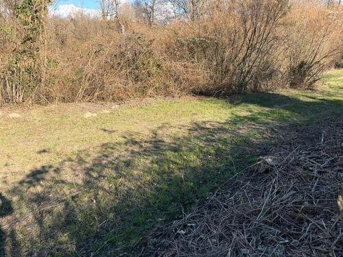 Foto - Grundst&uuml;ck zur Miete in Kippenheim