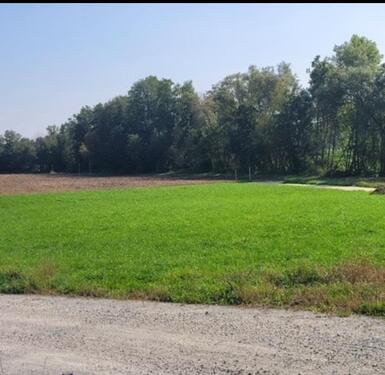 Foto - Grundstück zur Miete in Neuhaus am Inn