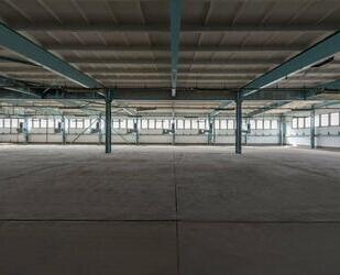 Hallen-Dessau – Lagerhallen & Gewerbeflächen in Top-Lage - Dessau-Roßlau