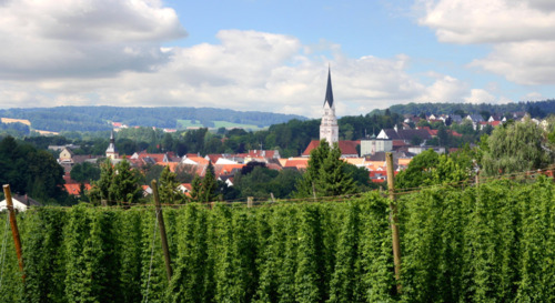 Foto - Einfamilienhaus zum Kaufen in Wolnzach