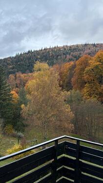 Foto - Top renovierte Eigentumswohnung in Bad Herrenalb