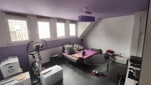 Foto - Schöne Wohnung am Botanischen Obstgarten zu vermieten