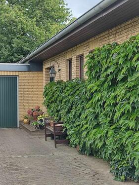 Foto - Einfamilienhaus in Zeven zum Kaufen