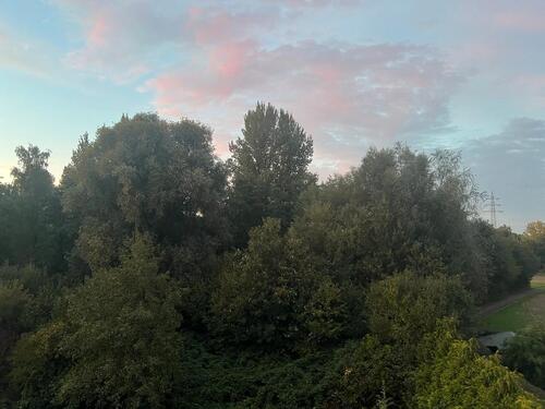 Foto - Lichtdurchflutete DG Wohnung in Sodingen