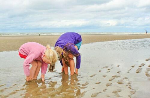 Foto - andere in Butjadingen