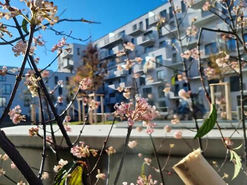 Foto - ohne Makler Helle Neubauwohnung – ideal für Familien