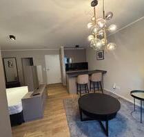 Design Apartment: Hochwertig möbliertes 1-Zimmer-Apartment im Zen - Wiesbaden