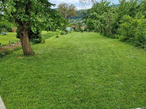 Foto - Pachtgarten - 400,00 EUR Kaltmiete, ca.  0,00 m²