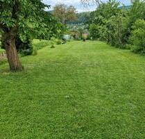 Pachtgarten - 400,00 EUR Kaltmiete, ca.  0,00 m² in Treffurt (PLZ: 99830)