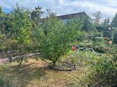 Foto - Garten in KGV Dresden Seidnitz - 3.900,00 EUR Kaltmiete, ca.  0,00 m²
