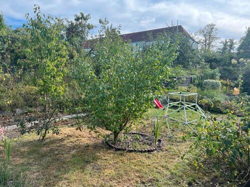 Foto - Garten in KGV Dresden Seidnitz - 3.900,00 EUR Kaltmiete, ca.  0,00 m²