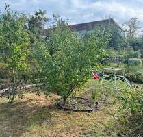 Garten in KGV Dresden Seidnitz - 3.900,00 EUR Kaltmiete, ca.  0,00 m² in Dresden (PLZ: 01309) Blasewitz