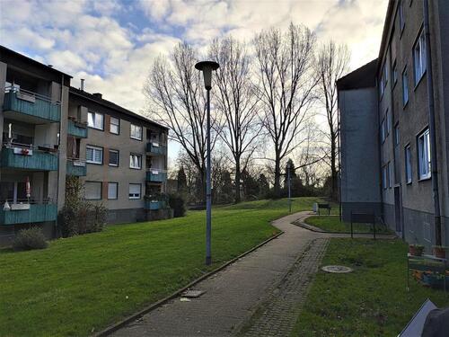 Foto - 3 Zimmer Erdgeschoßwohnung zur Miete in Essen