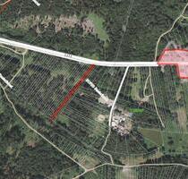 Mischwald Hassel - 2.480,00 EUR Kaltmiete, ca.  0,00 m² in Sankt Ingbert (PLZ: 66386)