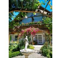 Apartment vollmöbliert, Terrasse, Fußbodenheizung, nur 389€ warm - Thermalbad Wiesenbad