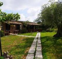 Urlaub bei Tropea Kalabrien - 250,00 EUR Kaltmiete, in München (PLZ: 81371) Thalkirchen-Obersendling-Forstenried-Fürstenried-S