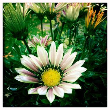 Foto - Solides Einfamilienhaus - 357.000,00&nbsp;EUR Kaufpreis, ca.&nbsp; 140,00&nbsp;m&sup2;