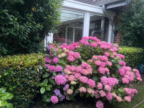 Foto - Einfamilienhaus in Emmerich am Rhein zum Kaufen