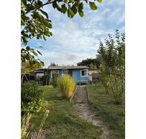 Kleingarten - 450 qm - Komplet eingezäunt - Chemnitz Bernsdorf