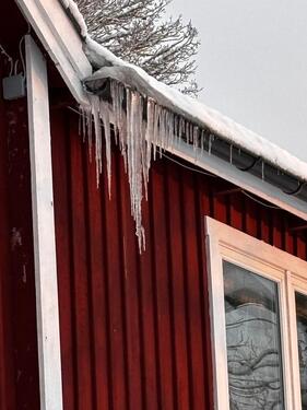 Foto - Einfamilienhaus in Enger zum Kaufen