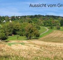Freizeitgrundstück bei Esslingen-Zell - Esslingen am Neckar Oberesslingen