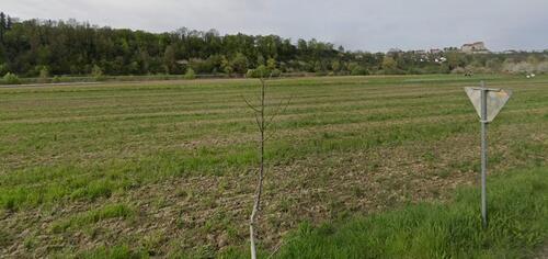 Foto - Grundstück zur Miete in Burghausen