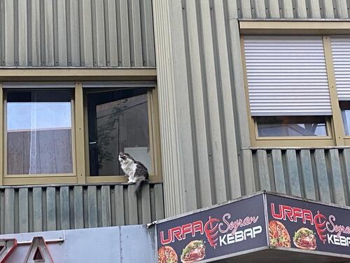 Foto - 2 Zimmer Etagenwohnung in Göppingen