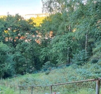 Foto - Privat-Garten in Stadtroda - 10.000,00&nbsp;EUR Kaltmiete, ca.&nbsp; 0,00&nbsp;m&sup2;