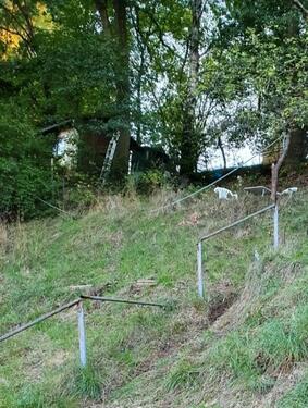 Foto - Grundst&uuml;ck zur Miete in Stadtroda