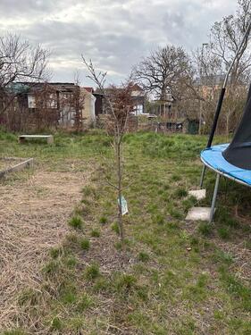 Foto - Grundst&uuml;ck in Dresden