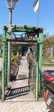 Foto - Grundst&uuml;ck in Gifhorn