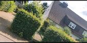Foto - Einfamilienhaus in Itzehoe