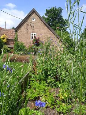 Foto - Einfamilienhaus in Markersdorf zum Kaufen